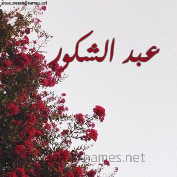 شكل 18 صوره الورد الأحمر للإسم بخط رقعة صورة اسم عبد الشكور Abdul-Shakur